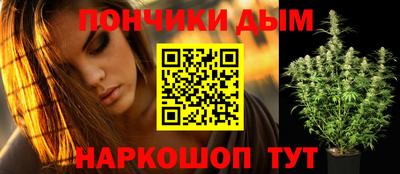 твердый Кингисепп