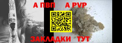 твердый Кингисепп