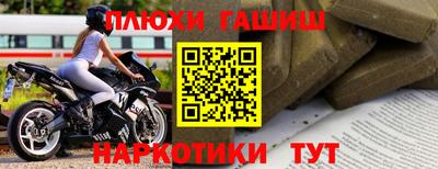 твердый Кингисепп