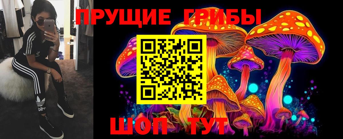 Красногорск  Псилоцибиновые грибы MAGIC MUSHROOMS  Вход с VPN  Псилоцибиновые грибы Psilocybe 